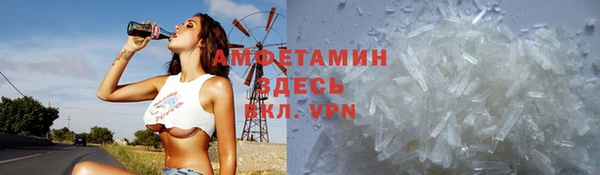 твердый Мегион