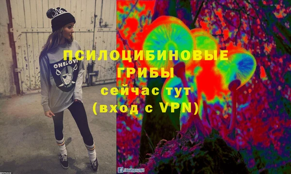 MDMA Медногорск