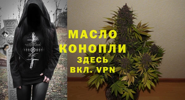 твердый Мегион